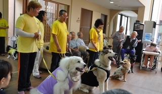 20120624d.jpg