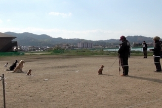 20131215odx_ss.jpg