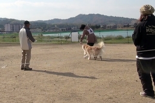 20131215rifu_y.jpg