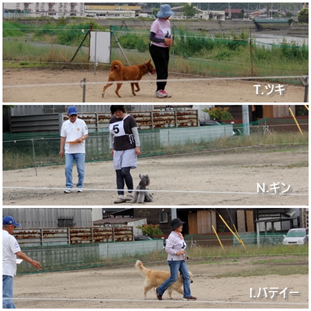 20140706_cod.jpg