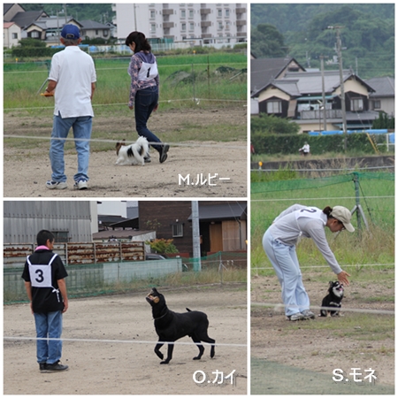 20140706_od.jpg