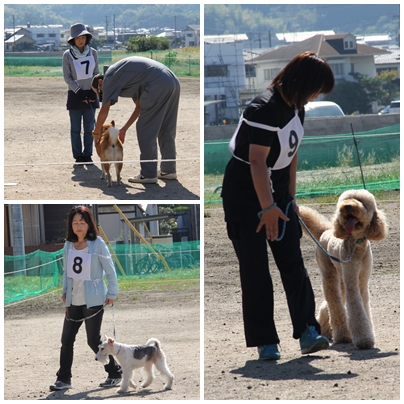20141019cod2.jpg