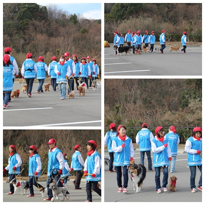 20150118c.jpg