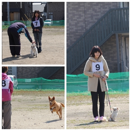 20150308COD2.jpg