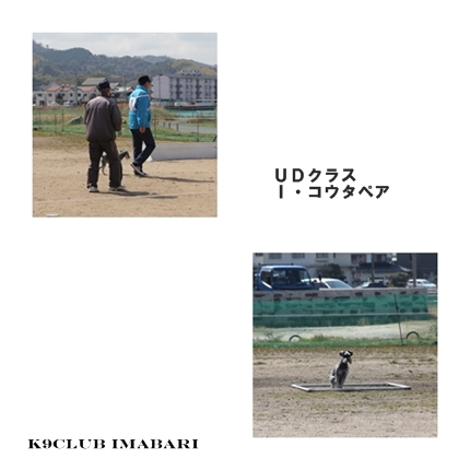 20150308UD.jpg