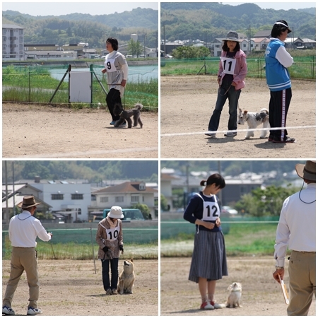 20150510cod.jpg