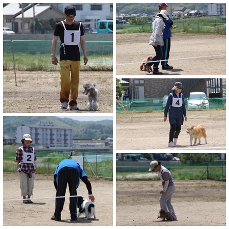 20150510od.jpg