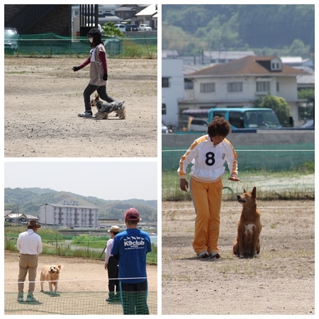 20150510ss.jpg