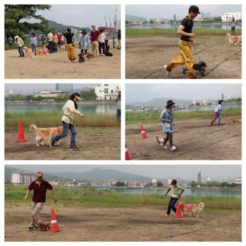20150531a.jpg