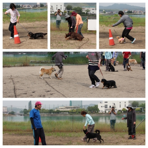 20150531b.jpg
