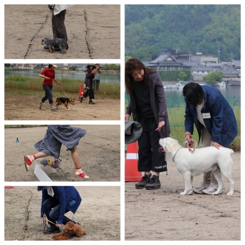 20150531c.jpg