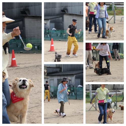 20150531e.jpg