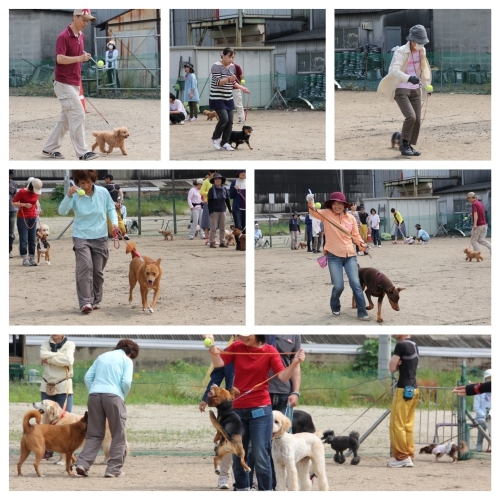 20150531f.jpg