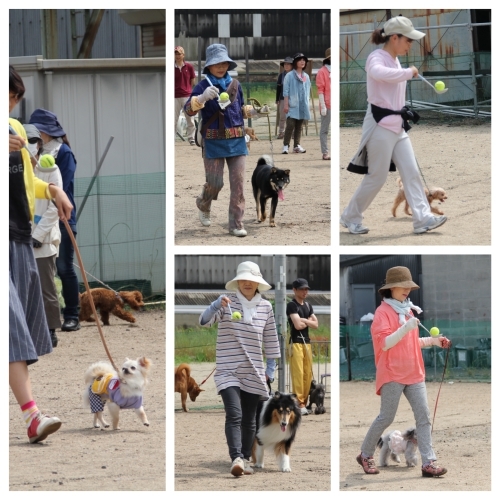 20150531h.jpg