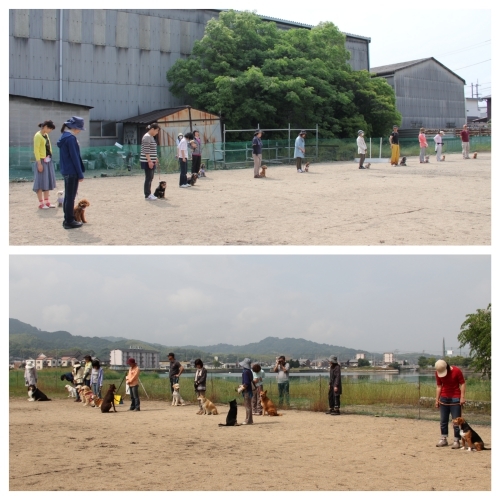 20150531i.jpg
