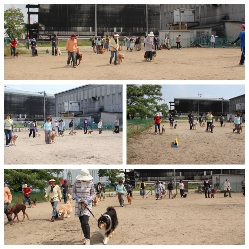 20150531m.jpg