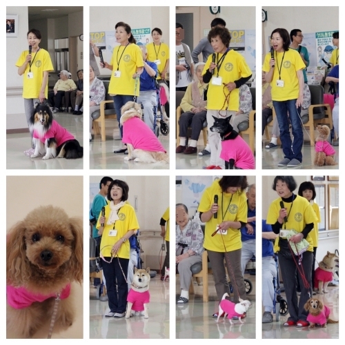 20150606a.jpg