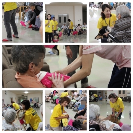 20150704b.jpg