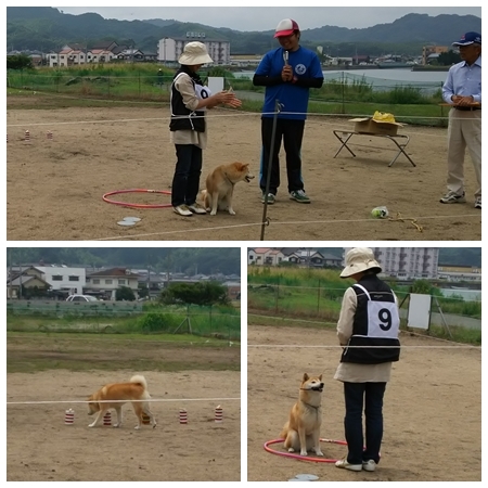 20150705sd1.jpg