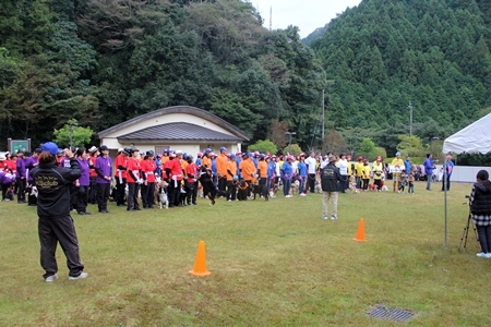 20151012b.JPG