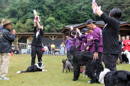 20151012e.JPG