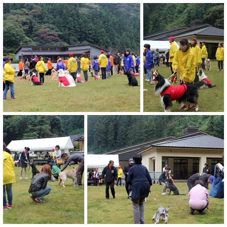 20151012goudou.jpg