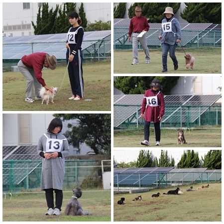 20151115f.jpg