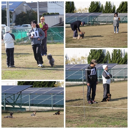 20151213ss.jpg