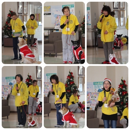 20151505b.jpg