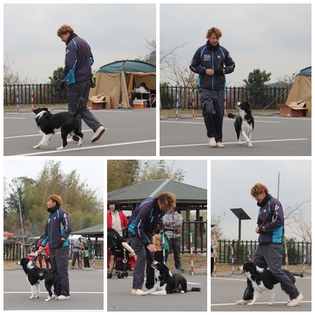 20160117dogdansu.jpg