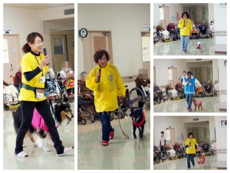 20160409a.jpg