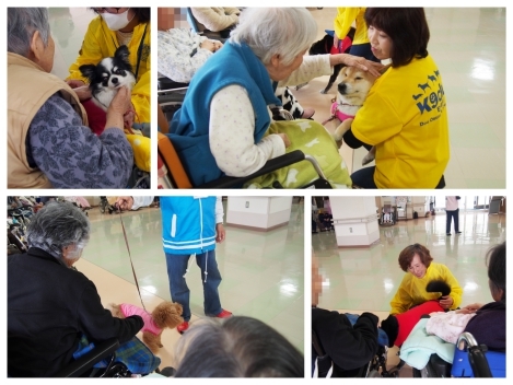 20160409c.jpg