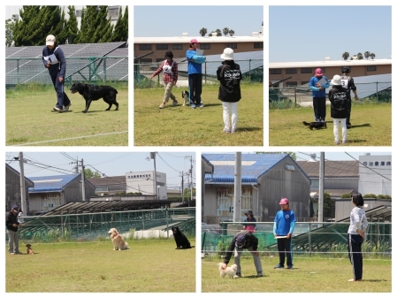 20160501a.jpg