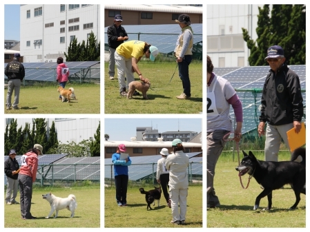 20160501c.jpg
