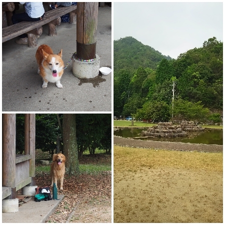 20160807i.jpg