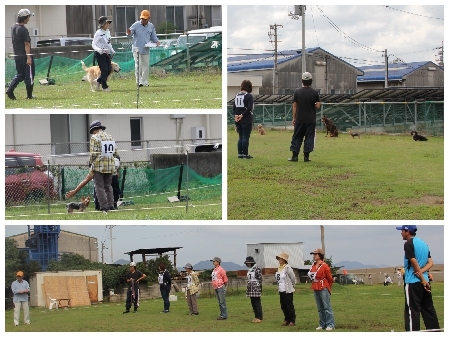 20161009NO2.jpg