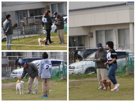 20171119od.jpg