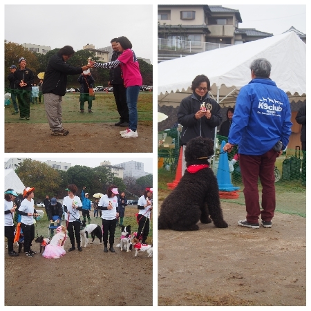 20171126dansu.jpg