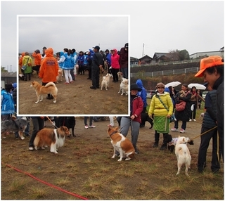 20171126marubatu.jpg
