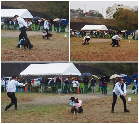 20171126no1.jpg
