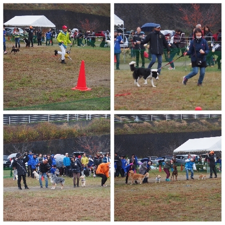 20171126pan2.jpg