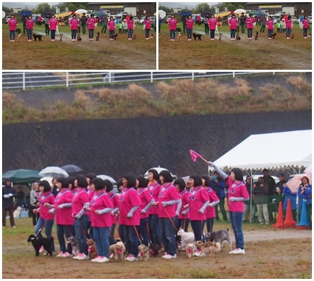 20171126pink.jpg