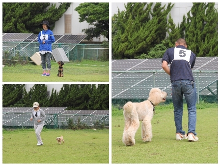 201800701OD_SS.jpg