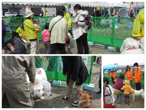 20180318fureai.jpg
