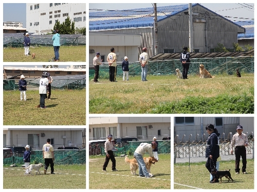 20180429a.jpg