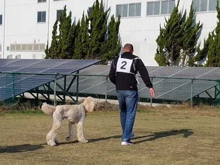 20181118_1masyu.jpg