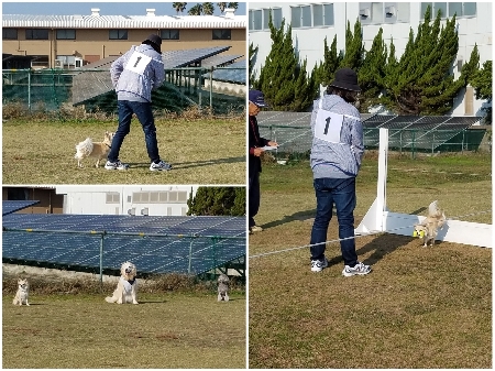 20181118_odx.jpg