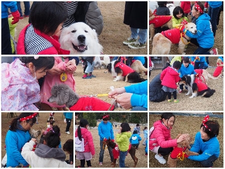 20190120b.jpg