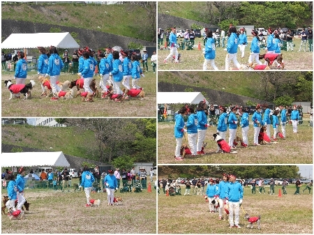 20190421imabaria.jpg