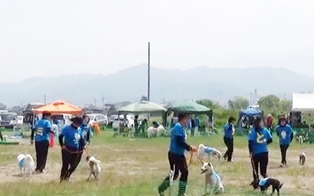 20190421saijo.jpg